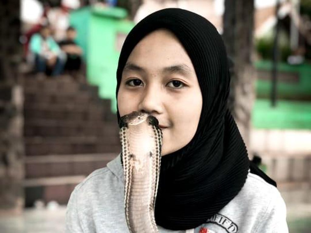 Jurus Gadis Bandung Ini Taklukkan King Cobra 4 Meter hingga Viral