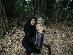Ngeri Aksi Teh Icha Atraksi Bareng King Cobra