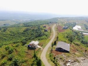 Kontraktor Kena PKPU, Budiman Sudjatmiko Pede Bukit Algoritma Terus Jalan Kontraktor Kena PKPU, Budiman Sudjatmiko Pede Bukit Algoritma Terus Jalan