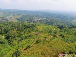 Bukit Algoritma Bakalan Tokcer Kembangkan Teknologi dalam Negeri? 