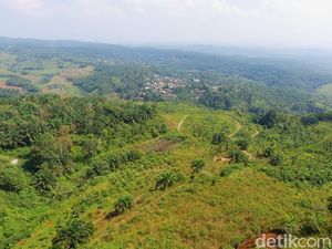 Bukit Algoritma Bakalan Tokcer Kembangkan Teknologi dalam Negeri?  Bukit Algoritma Bakalan Tokcer Kembangkan Teknologi dalam Negeri?
