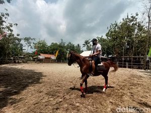 Karawang Punya Sekolah Berkuda Standar Nasional