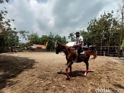 Karawang Punya Sekolah Berkuda Standar Nasional