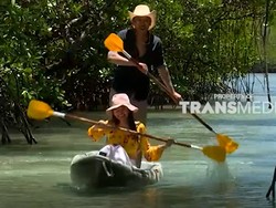 Celebrity on Vacation: Main Kayak di Tengah Hutan Mangrove Leebong Island