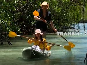 Celebrity on Vacation: Main Kayak di Tengah Hutan Mangrove Leebong Island Celebrity on Vacation: Main Kayak di Tengah Hutan Mangrove Leebong Island