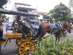 Curhat Kusir Andong Malioboro, Tak Dapat Penumpang saat PPKM Darurat
