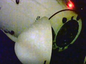 4 Astronaut Mendarat di Bumi Setelah 5 Bulan Merantau di Antariksa