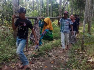 Respons Pemkab Pandeglang soal Ibu Hamil Ditandu Lewati Hutan Respons Pemkab Pandeglang soal Ibu Hamil Ditandu Lewati Hutan