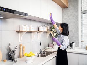 Jelang Lebaran, Pembantu Infal Mulai Ketiban Durian Runtuh