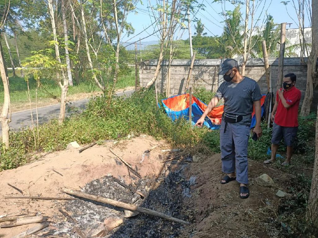 Pembantaian Belasan Anjing di Pacitan Diduga Banyak Kambing Warga Mati Pembantaian Belasan Anjing di Pacitan Diduga Banyak Kambing Warga Mati