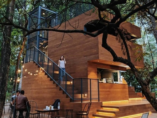 Meskipun terbilang baru, Arborea Cafe berhasil menyedot perhatian publik dengan dekorasi bangunan layaknya di tengah hutan.