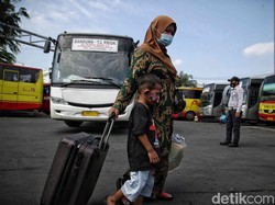 Mudik Dilarang, Pengusaha Bus Bak Jatuh Tertimpa Tangga