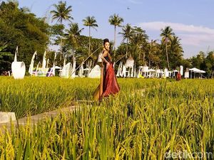58 Desainer Gelar Fashion Show di Tengah Sawah Dekat Candi Borobudur 58 Desainer Gelar Fashion Show di Tengah Sawah Dekat Candi Borobudur
