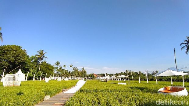 Magelang Nggak Cuma Borobudur! Ini 9 Spot Wisata Estetik untuk Berburu Sunrise Eksotis