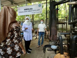Pasangan Anak Muda Banyuwangi Produksi Pupuk Organik dari Limbah Kayu Jati