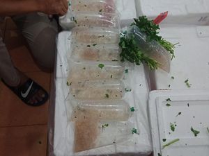 Polres Soetta Gagalkan Penyelundupan 34 Boks Baby Lobster ke Singapura Polres Soetta Gagalkan Penyelundupan 34 Boks Baby Lobster ke Singapura