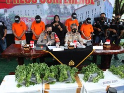 Polisi Ungkap Penyelundup Baby Lobster ke Singapura Perusahaan Fiktif