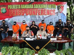 72.288 Benur Nyaris Diselundupkan ke Singapura, Negara Rugi Rp 7 M