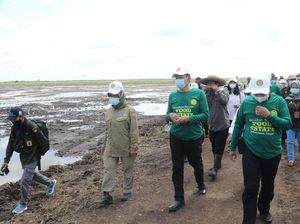Kementan: Kalimantan Tengah Akan Jadi Kiblat Food Estate Nasional