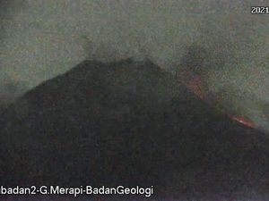 Gunung Merapi Erupsi, Luncurkan Awan Panas 1,5 Km ke Barat Daya