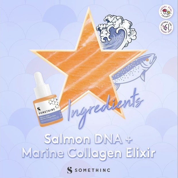 Kandungan dalam Salmon DNA+Marine Collagen Elixir.