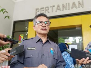 Jelang Lebaran, Distan Kabupaten Bandung Pastikan Stok Pangan Aman Jelang Lebaran, Distan Kabupaten Bandung Pastikan Stok Pangan Aman