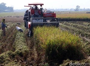 Mentan Amran Bakal Lanjutkan Kontrak Alsintan yang Sempat Disetop