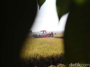 Keren Petani Jaman Now Panen Pakai Mesin Traktor