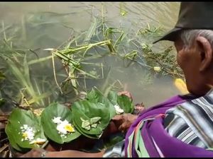 3 Korban Kecelakaan Belum Ditemukan, Warga Mamasa Lakukan Ritual