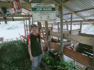 Dibina Baznas, Eks Kuli Bangunan Ini Sukses Bisnis Ternak Kambing