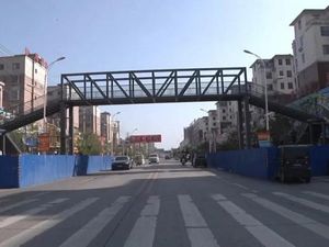 Ibu Ini Bangun Jembatan Senilai Rp 2,2 M agar Anak Selamat di Jalan