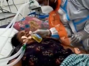 Mitos Makanan Aneh, Makan Kotoran Sapi hingga Air Kencing Untuk Sembuhkan Penyakit