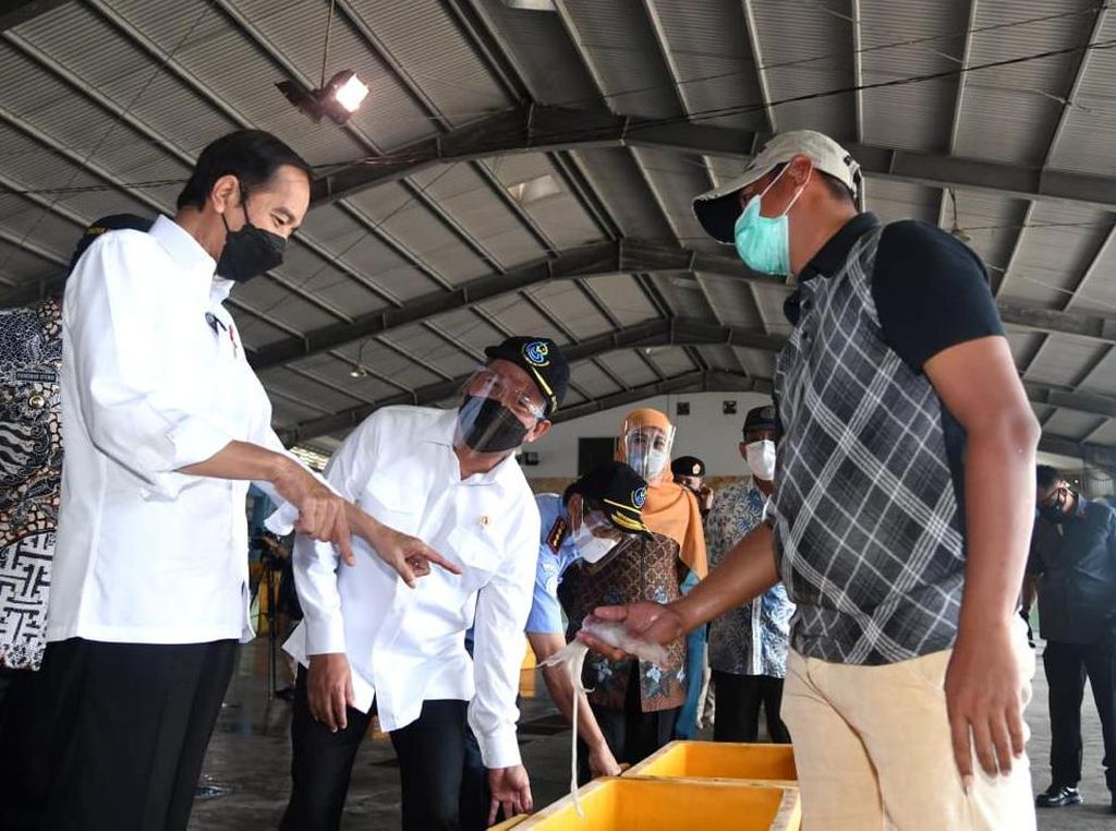 Ke Jatim, Jokowi Dialog Bareng Nelayan dan Tinjau Pabrik Perikanan Ke Jatim, Jokowi Dialog Bareng Nelayan dan Tinjau Pabrik Perikanan
