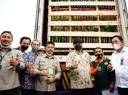 Airlangga-Mentan Lepas Ekspor Tanaman Hias dari Bogor Rp 70 M