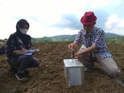 Ini Cara Kampung Sayuran di Bantul Terapkan Budidaya Ramah Lingkungan
