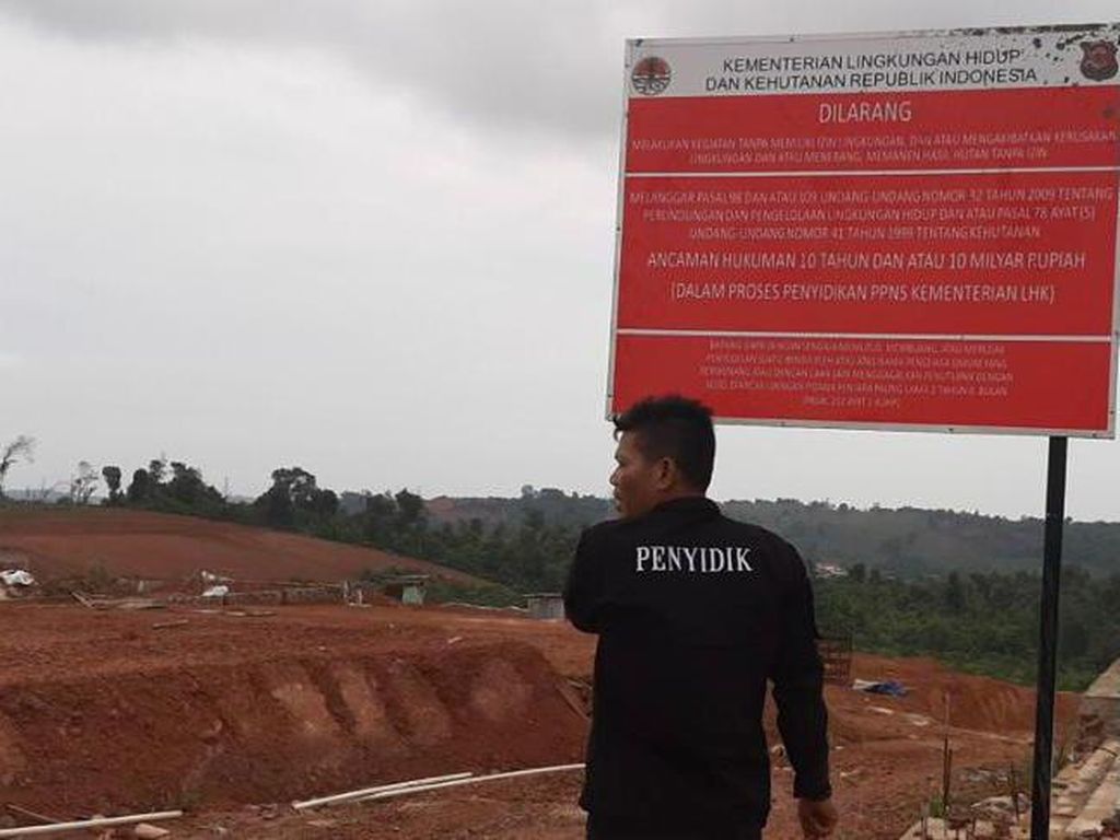 Rusak Hutan Lindung di Batam Jadi Perumahan, Bos-Korporasi Jadi Tersangka Rusak Hutan Lindung di Batam Jadi Perumahan, Bos-Korporasi Jadi Tersangka