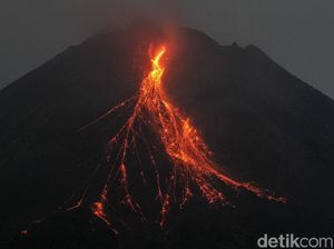 Lagi! Gunung Merapi Muntahkan Lava Pijar