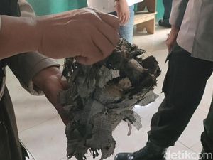 Petasan Jumbo Meledak, 1 Remaja Tewas dan 4 Luka Parah