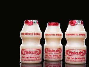 Fresh Graduate Merapat, Yakult Buka Lowongan Kerja Nih untuk SMA/SMK hingga S1