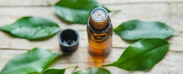 9 Bahan Ini Tidak Seharusnya Ada Di Wajahmu/freepik.com 9 Bahan Ini Tidak Seharusnya Ada Di Wajahmu/freepik.com