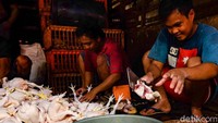 Doa dan Tata Cara Menyembelih Ayam Sesuai Syariat Islam