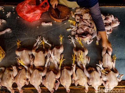 Bun, Harga Daging Ayam Juga Naik Nih Jelang Lebaran