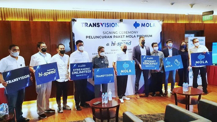 Transvision, Mola