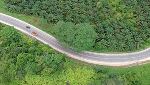 Hening dan Lengang di Jalinsum Jambi-Riau