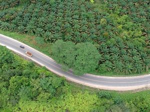 Hening dan Lengang di Jalinsum Jambi-Riau