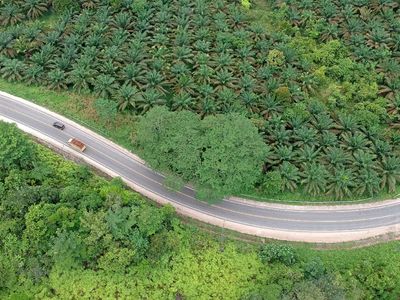 Hening dan Lengang di Jalinsum Jambi-Riau