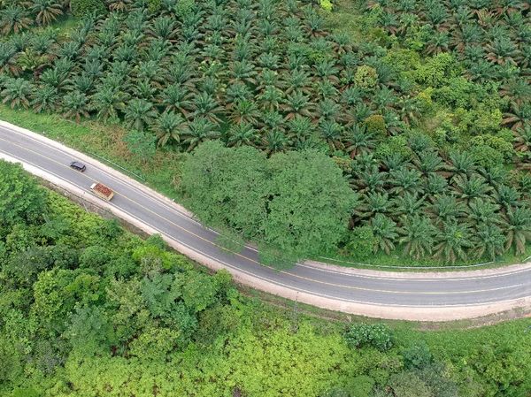 Hening dan Lengang di Jalinsum Jambi-Riau