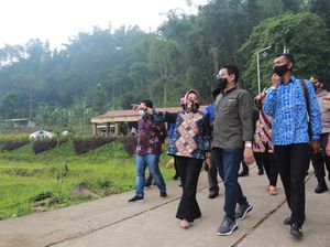 Mendes: Semakin Desanya Makmur, Semakin Kecil Perantaunya