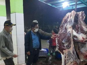 Kementan Jamin Pasokan Daging Sapi buat Lebaran Tahun Ini Aman