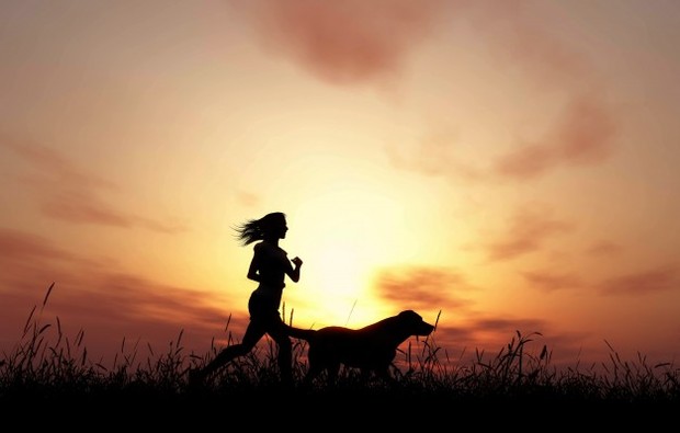 Olahraga Malam/Freepik Olahraga Malam